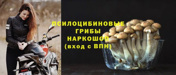 молекула духа Вязьма