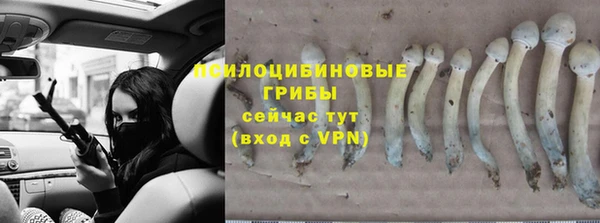 MESCALINE Вяземский