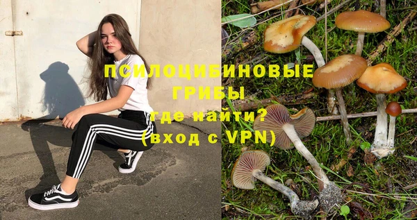 MESCALINE Вяземский