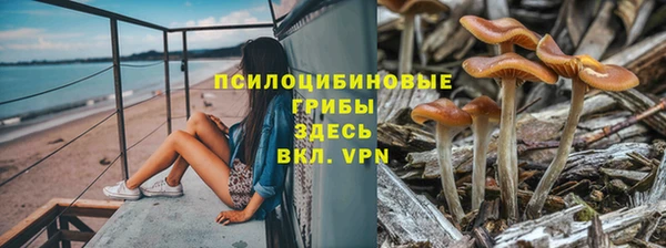 молекула духа Вязьма