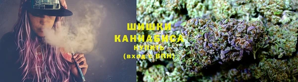 молекула духа Вязьма