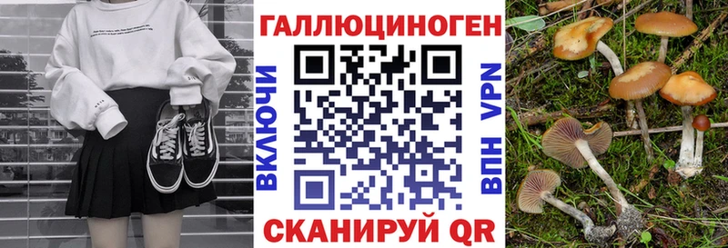 Псилоцибиновые грибы ЛСД Владикавказ