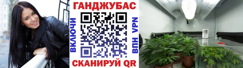 Бошки Шишки THC 21%  купить наркотик  Владикавказ 